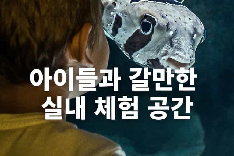 아이들과 갈만한 곳 실내