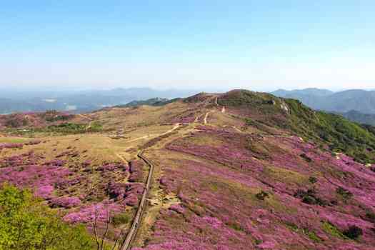 합천 황매산