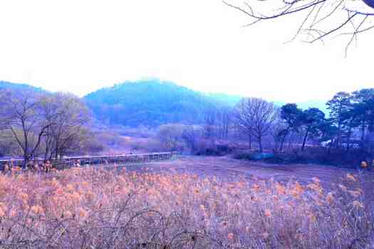 충북 옥천 가볼만한 곳: 대청호 오백리길