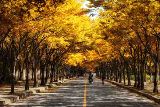 인천 인천대공원