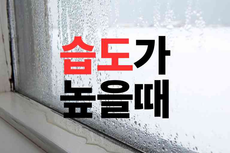 습도가 높을때 낮추는 방법 13 (적정습도 맞추기) - 이지 트래블