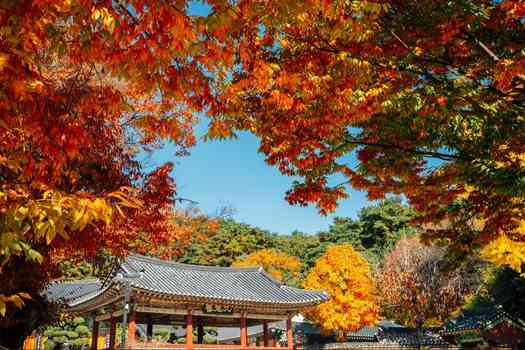 신륵사 여주