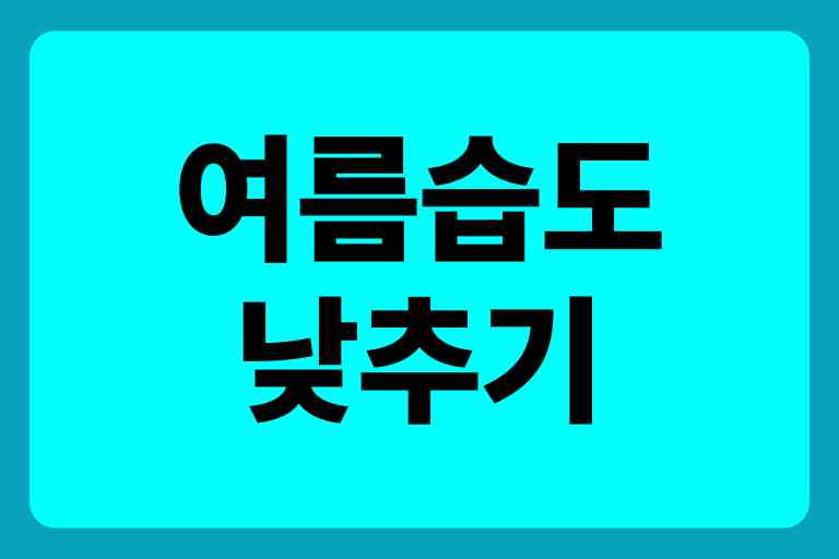 한국 여름 습도 장마 여름철 습도 낮추기
