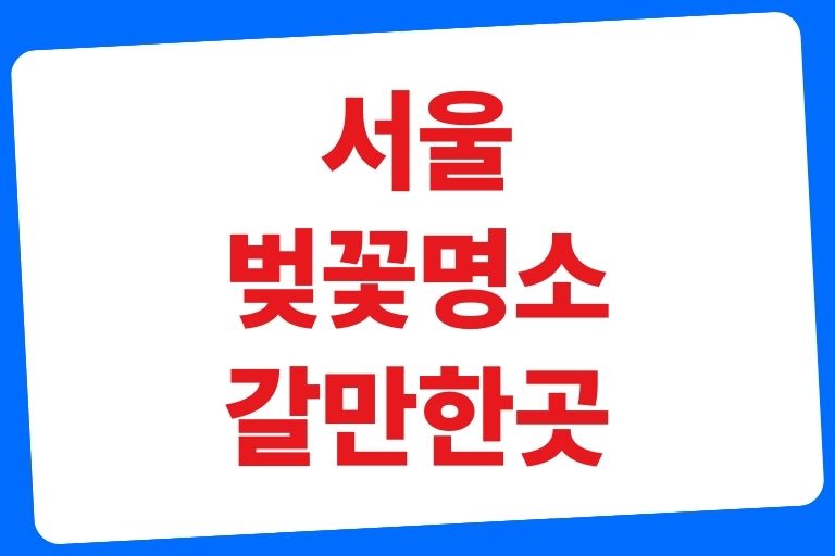 서울 벚꽃명소 갈만한곳