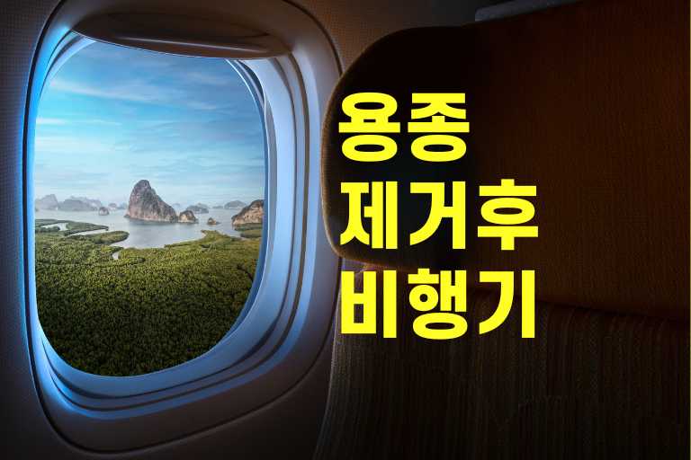 용종제거후 비행기
