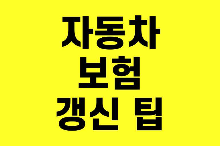 자동차보험 갱신 팁