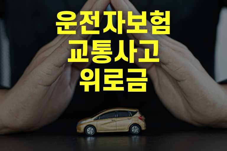 운전자보험 교통사고 위로금