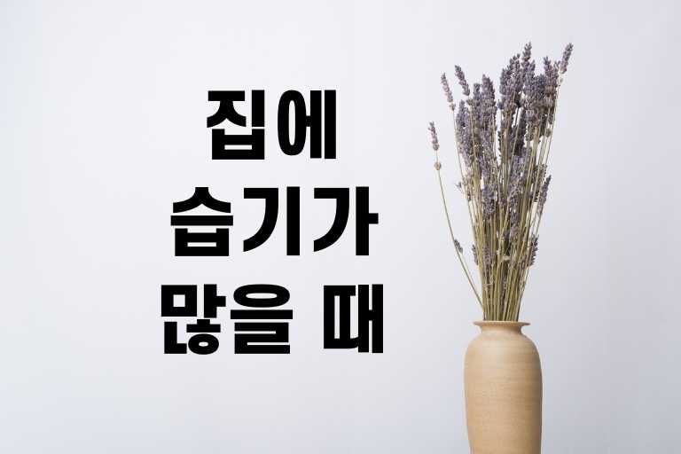 집에 습기가 많을 때