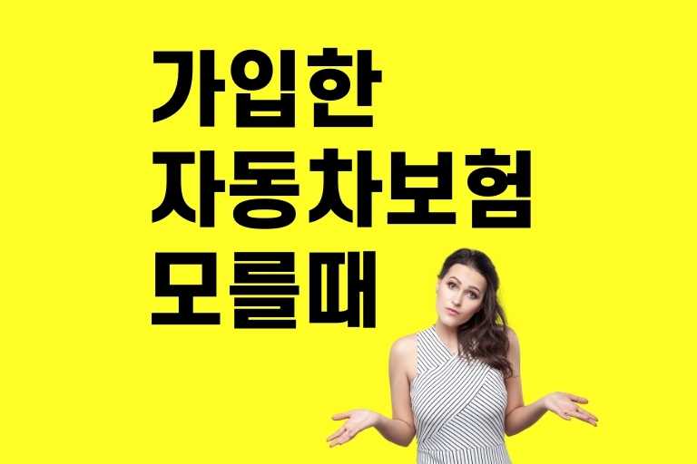 내 자동차보험 모를 때