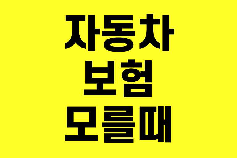 내 자동차 보험 모를때