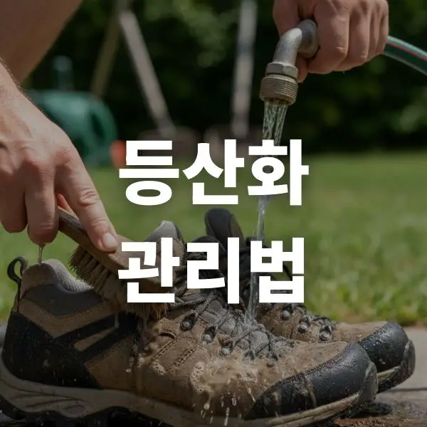 등산화 세탁 시 소재별 세척 방법 세탁 건조 관리법