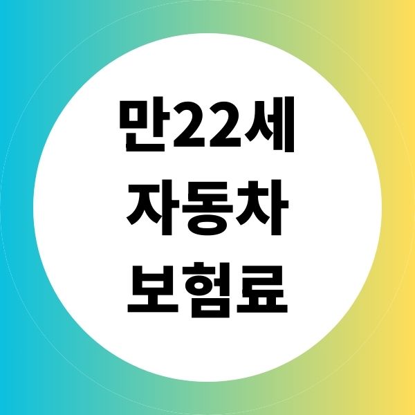 만 22세 자동차 보험료 금액 기준 혜택 주의사항 장단점