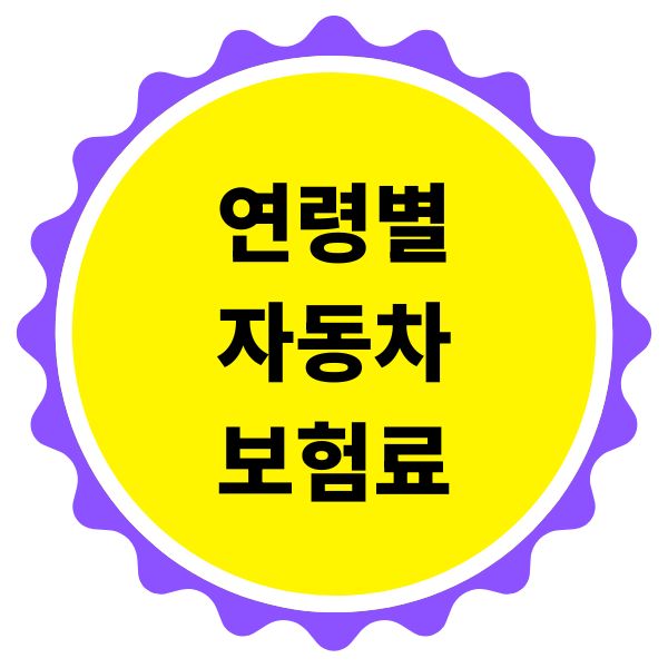 연령별 자동차보험료
